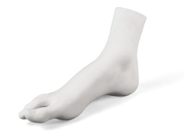 Female Foot