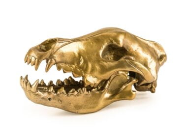 Wolf Skull декоративный предмет, Seletti