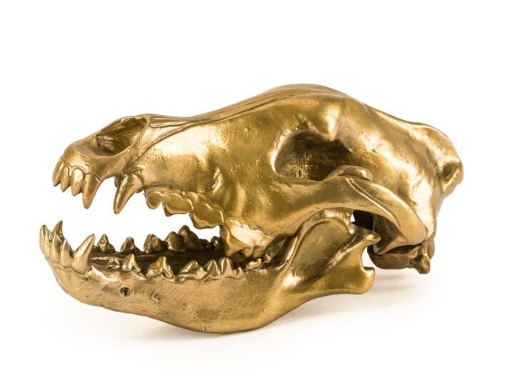 Wolf Skull декоративный предмет, Seletti