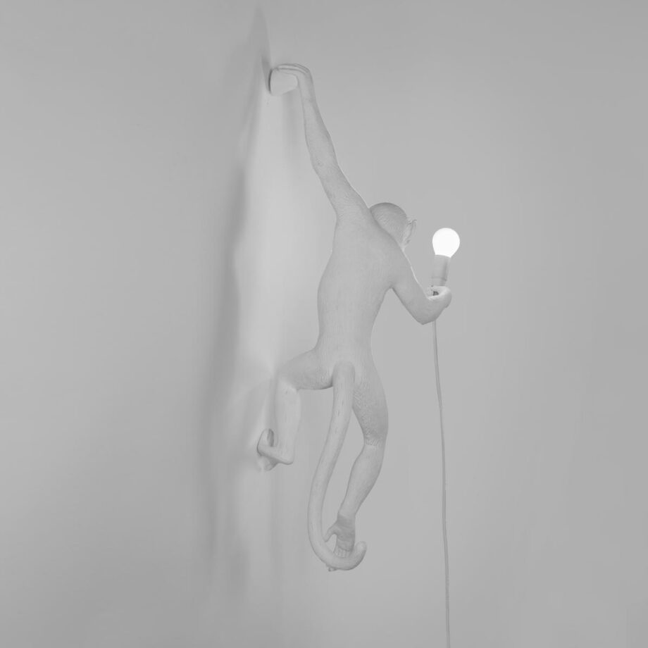 The Monkey Lamp Hanging уличный настенный светильник Seletti