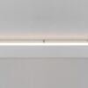 Alphabet Of Light Linear
