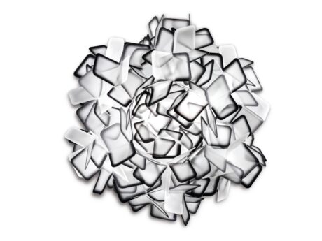 Clizia Medium