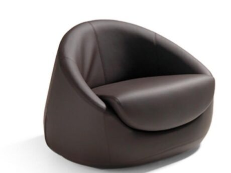 Cuccia