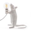 Mouse Lamp Standing — Step