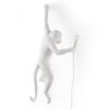 The Monkey Lamp Hanging