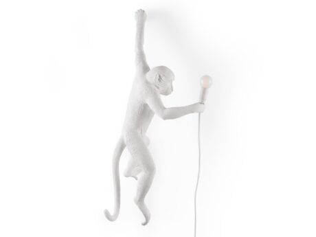 The Monkey Lamp Hanging