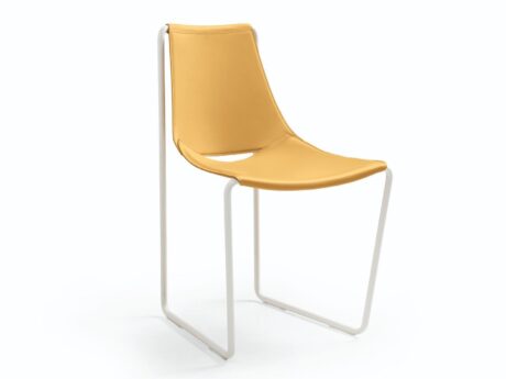 Apelle S