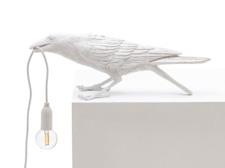 Bird Lamp Playing