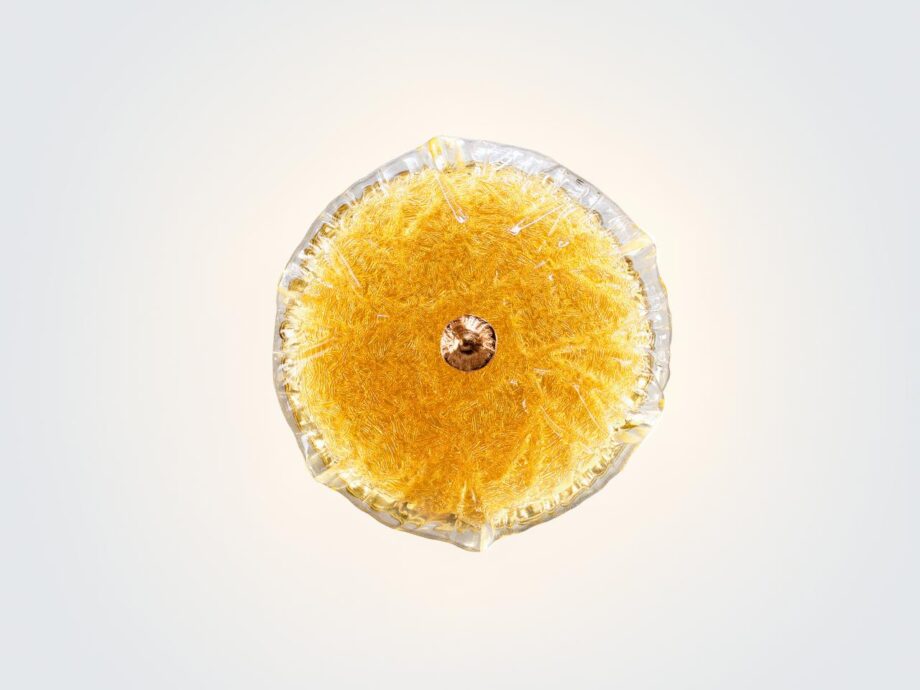 Nenufar Ap1456 настенный светильник Serip