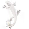 Chameleon Going Up