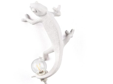 Chameleon Going Up