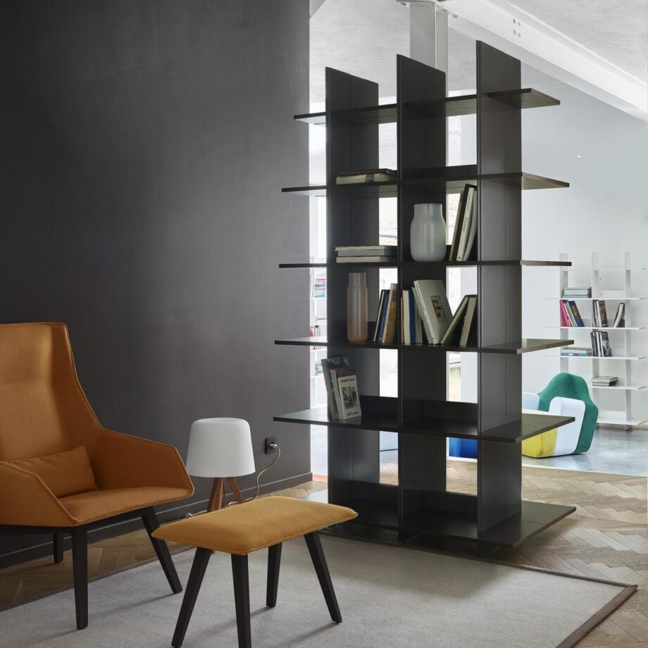 Alliteration книжный шкаф Ligne Roset