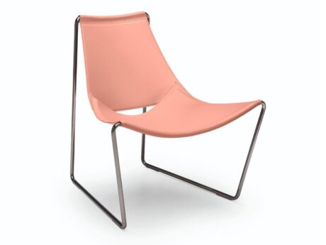 Apelle At