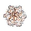 Clizia Small