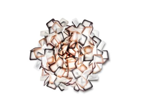 Clizia Small