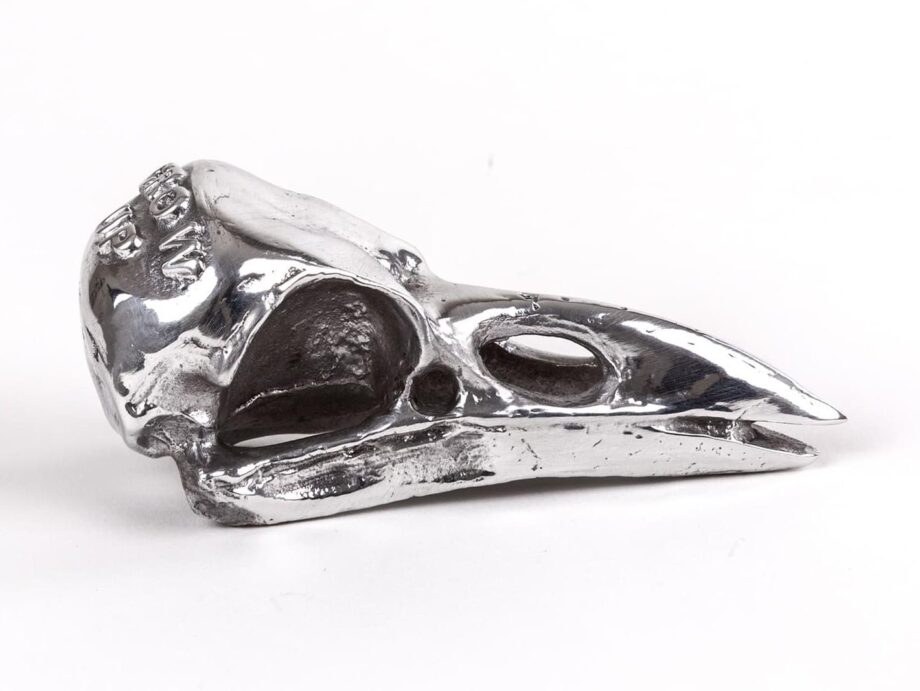 Bird Skull декоративный предмет Seletti