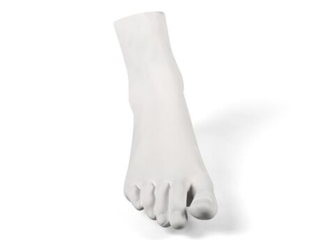 Male Foot