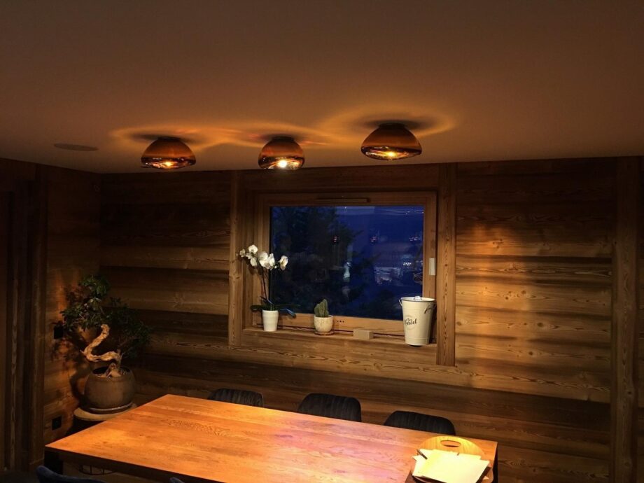 Ausum потолочный светильник Dark