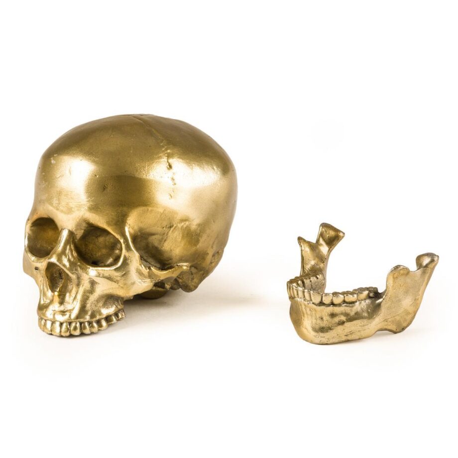 Human Skull декоративный предмет Seletti