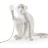 The Monkey Lamp Sitting