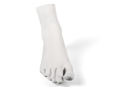 Female Foot