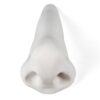 Nose