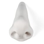 Nose