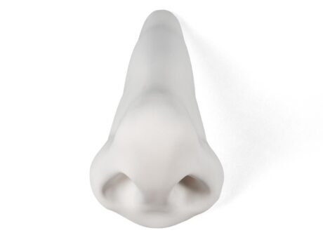 Nose