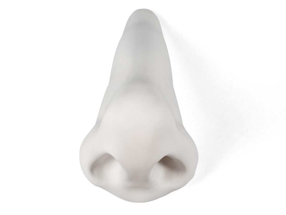 Nose декоративный предмет Seletti