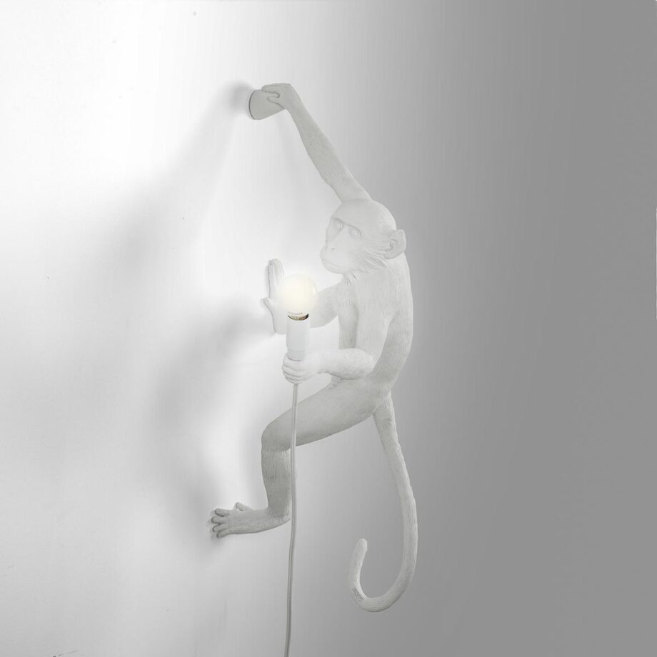 The Monkey Lamp Hanging уличный настенный светильник Seletti