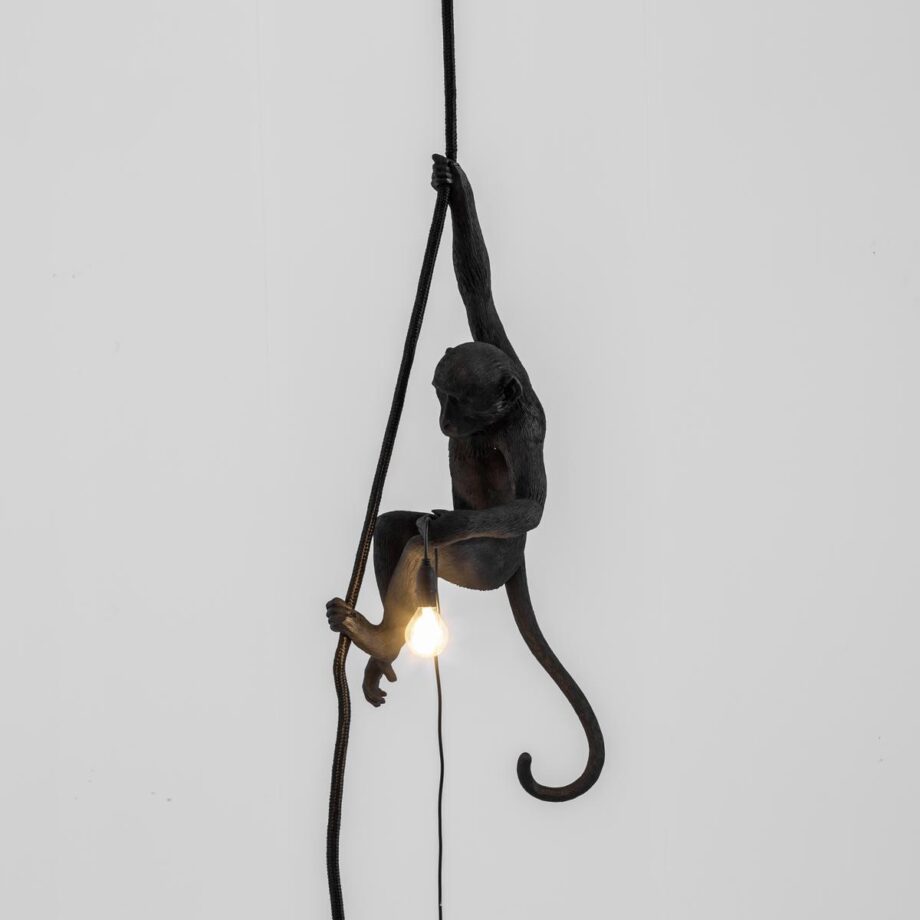 The Monkey Lamp Black Ceiling уличный подвесной светильник Seletti