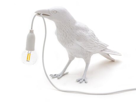 Bird Lamp Waiting