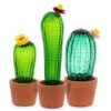 Cactus Sunrise