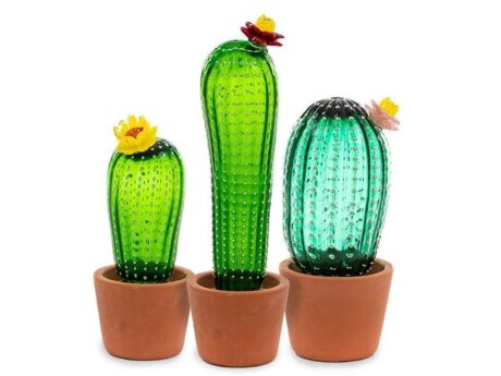 Cactus Sunrise