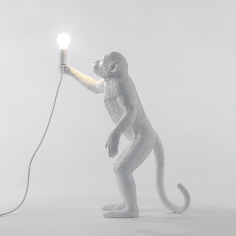The Monkey Lamp Standing уличный торшер Seletti