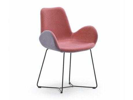 Dalia Pb T
