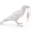 Bird Lamp Waiting