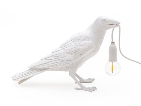 Bird Lamp Waiting