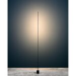 Light Stick F