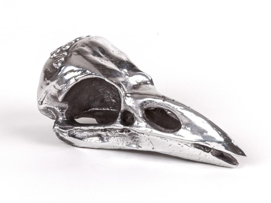 Bird Skull декоративный предмет Seletti