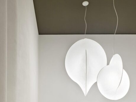 Cocoon Overlap