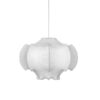 Cocoon Viscontea