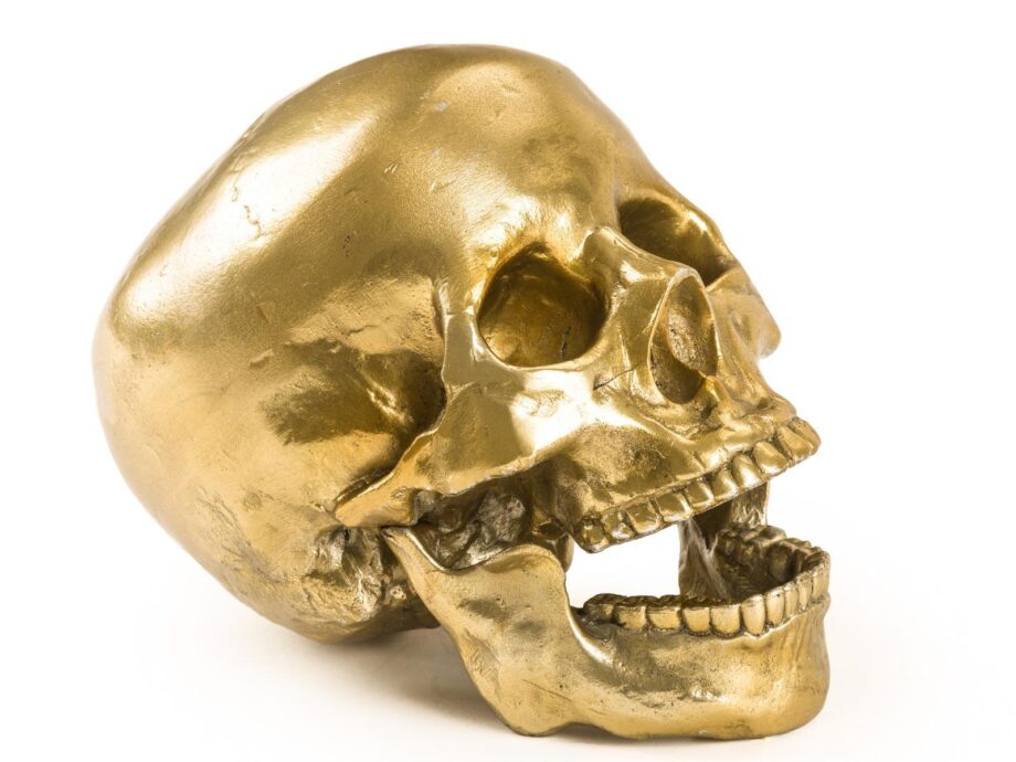 Human Skull декоративный предмет Seletti