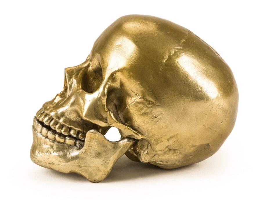 Human Skull декоративный предмет Seletti