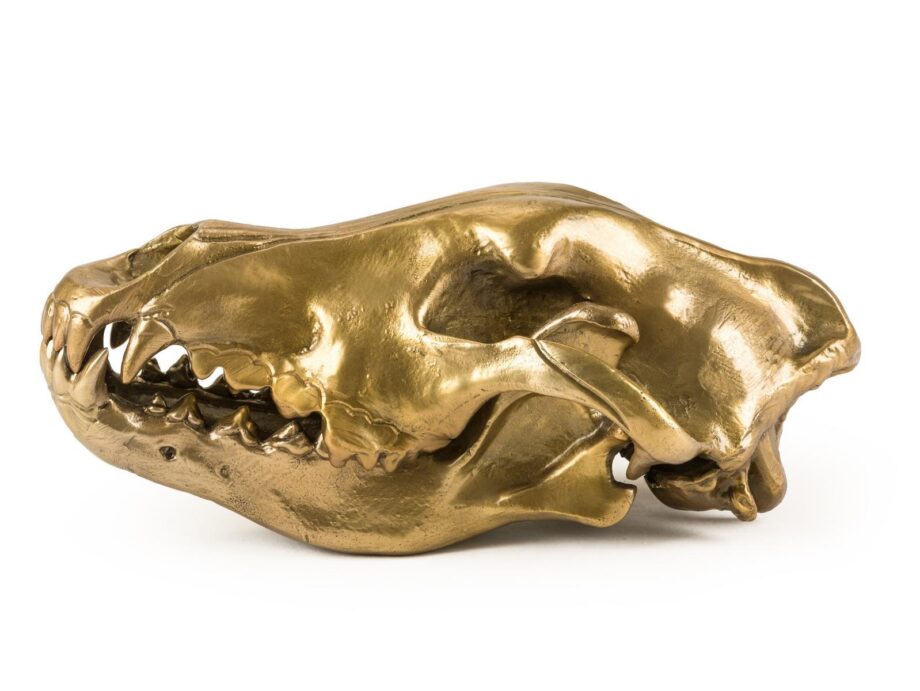 Wolf Skull декоративный предмет Seletti