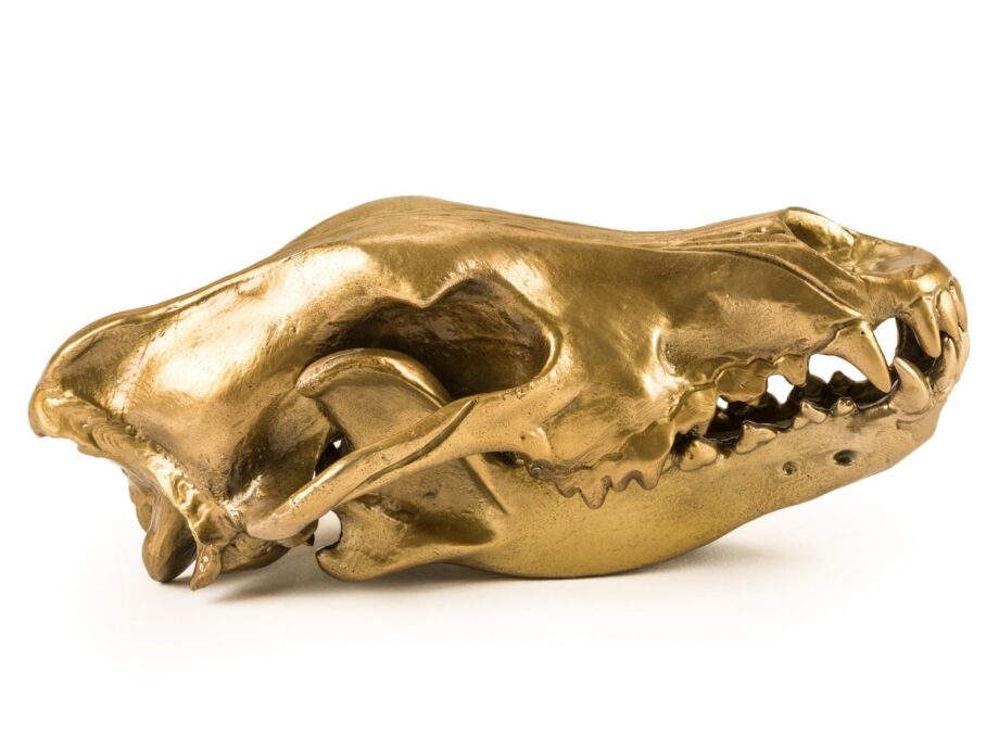 Wolf Skull декоративный предмет Seletti