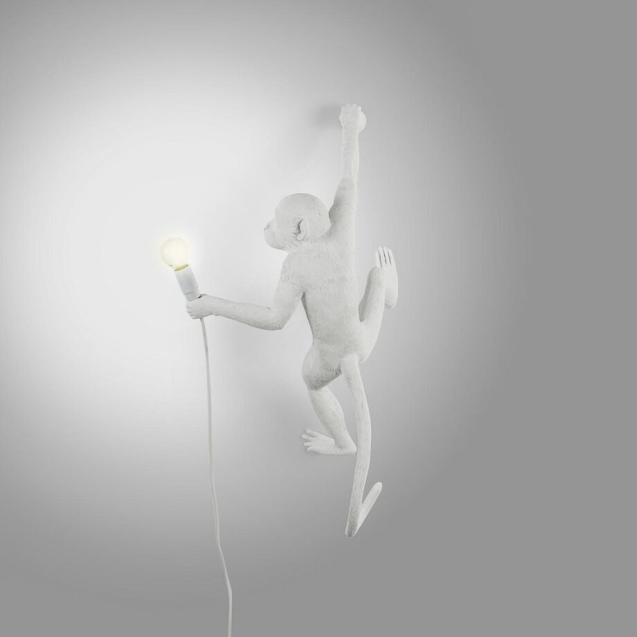 The Monkey Lamp Hanging уличный настенный светильник Seletti