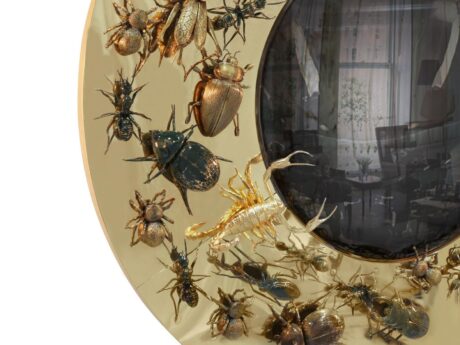 Convex Metamorphosis
