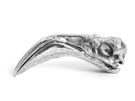 Flamingo Skull