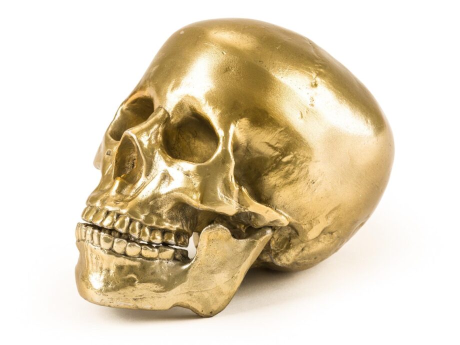Human Skull декоративный предмет Seletti